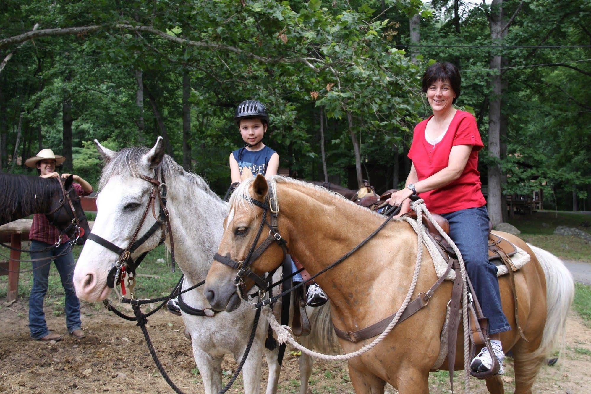 Pisgah View Ranch Hotel Candler Bagian luar foto